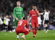 开云体育入口-利物浦主场取胜实现保级的简单介绍