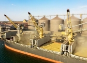 开云体育APP下载-土耳其国家队成功逆转，晋级希望增加的简单介绍