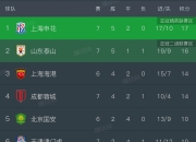 开云体育下载-关于上海申花客场胜出，稳固积分榜位置的信息