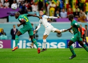 开云官网-阿尔及利亚队击败对手，晋级欧洲杯八强