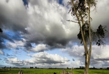 开云体育-FLY横扫DRX2！Gumayusi全场支配，电竞新王的崛起