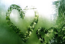 开云体育在线-PSG横扫DFM，Meiko制霸全场：电竞之夜的传奇瞬间