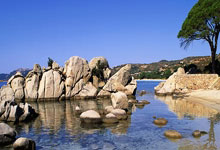 开云平台-BRO横扫RNG，JackeyLove高光表现——顶尖对决成就传奇时刻